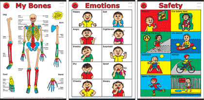 My Bones Chart, Emotions Chart and Safety Chart